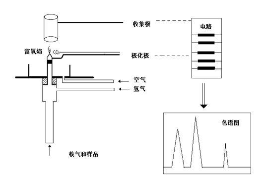 FID检测器的工作原理示意图 FID检测器的工作原理示意图